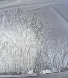 Перья страуса на ленте 15см цв.белый(в упак.10м)  